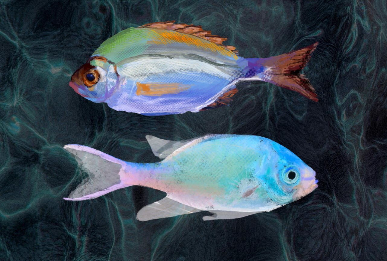 Realism fish study