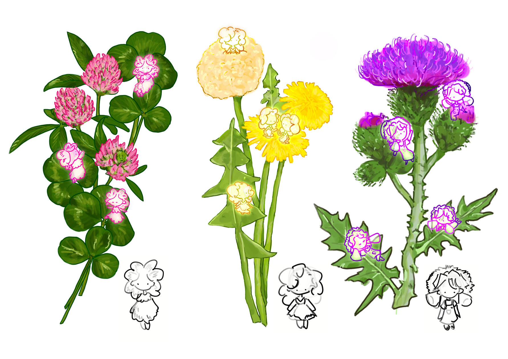 'Unwanted Visitors' project, studying flowering weeds