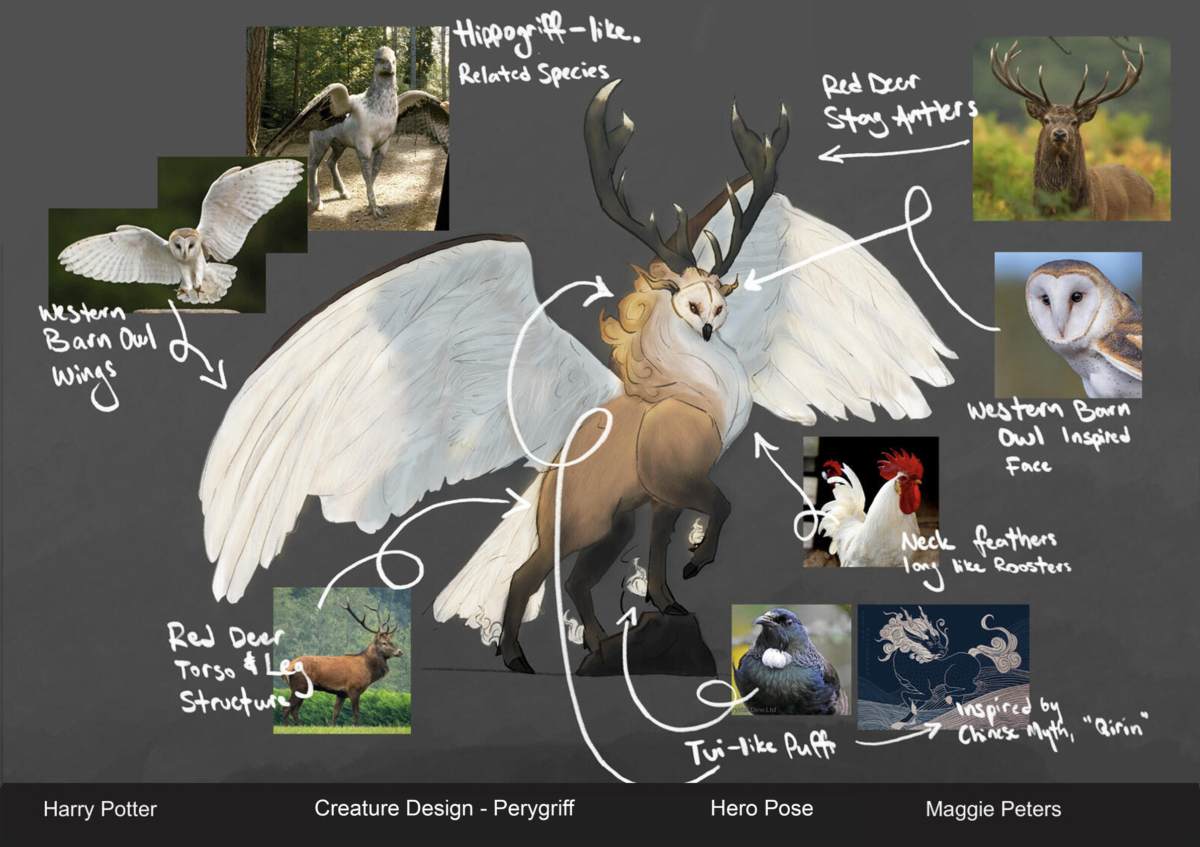 Creature design for Harry Potter IP